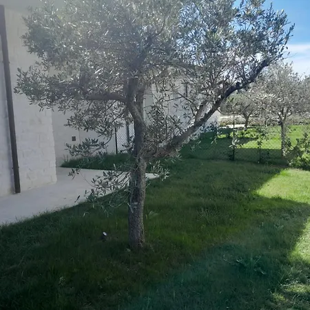 Borgopetra *