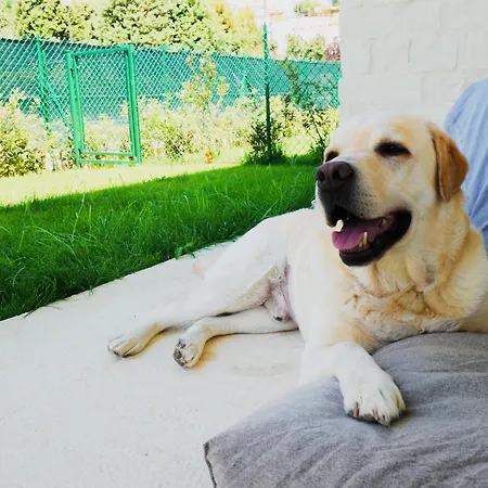 Apartamento Borgopetra Numana