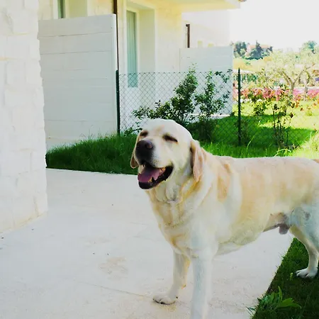 Borgopetra Apartamento *